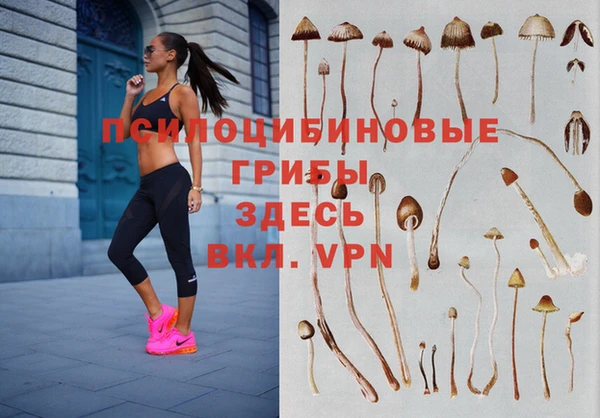 мяу мяу кристалл Баксан
