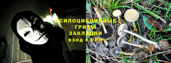 гидра Няндома