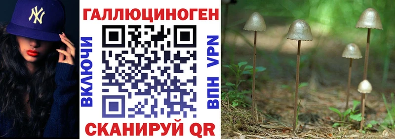 Галлюциногенные грибы MAGIC MUSHROOMS  Тайга 