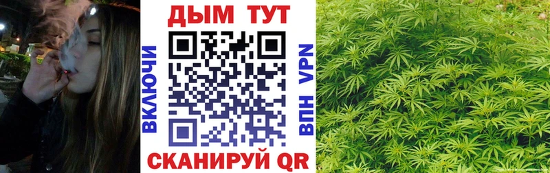 мега ONION что такое наркотик Тайга МАРИХУАНА индика